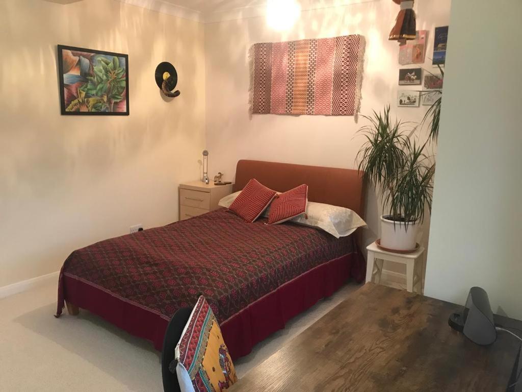 Serene Spacious Room Staines-upon-Thames Extérieur photo